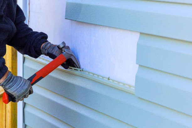 Best Residential Vinyl Siding Installation  in Center Line, MI